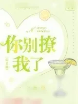 《你别撩我了[娱乐圈]》小说封面
