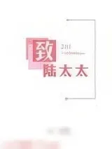 《致陆太太》小说封面