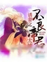 《诱妻之我的不良帝君》小说封面