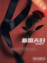 《新婚夫妇[先婚后爱]》小说封面