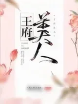 《王府美人》小说封面