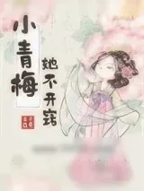 《小青梅她不开窍》小说封面