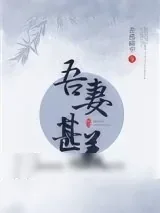 《吾妻甚美（美食）》小说封面