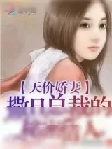 《天价娇妻：撒旦总裁的秘密情人》小说封面