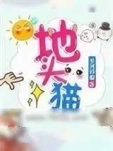 《地头猫》小说封面