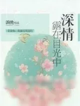 《深情露在目光中》小说封面