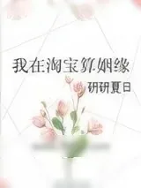 《我能看到你什么时候结婚》小说封面