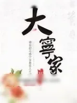 《大宁家》小说封面