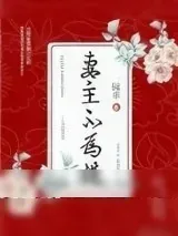 《妻主不为棋（女尊）》小说封面