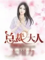 《霸占新妻：总裁大人太用力》小说封面