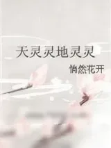 《天灵灵地灵灵》小说封面
