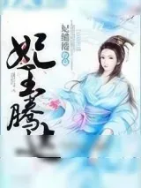 《妃王腾达》小说封面