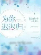 《为你迟迟归》小说封面