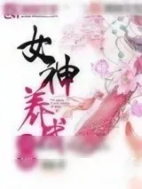 《女神养成计划》小说封面