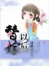 《替嫁以后》小说封面