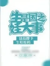 《生娃是国之大事》小说封面
