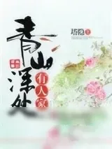 《青山深处有人家》小说封面