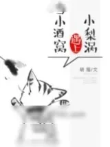 《小酒窝遇上小梨涡》小说封面