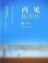 《再见陈先生》小说封面