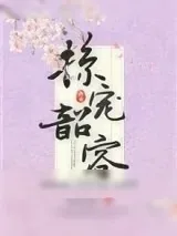 《掠宠韶容》小说封面