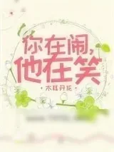 《你在闹，他在笑》小说封面