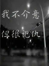 《我不介意，但很记仇》小说封面