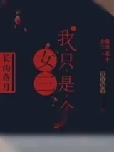 《我只是个女三》小说封面