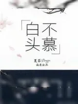 《白头不慕》小说封面