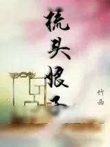 《梳头娘子》小说封面