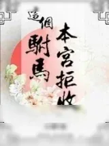 《这个驸马，本宫拒收！》小说封面