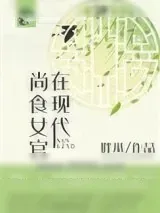 《尚食女官在现代》小说封面