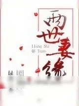 《两世妻缘》小说封面