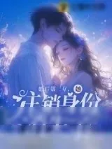 《婚后第三年，她注销身份消失了》小说封面
