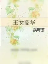 《王女韶华》小说封面