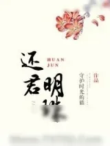 《还君明珠（重生）》小说封面