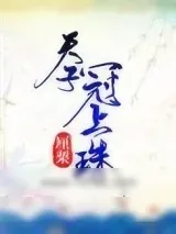《天子冠上珠》小说封面