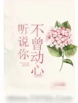 《听说你不曾动心》小说封面