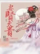 《妻闲夫贵》小说封面