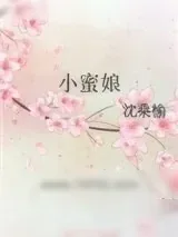 《小蜜娘》小说封面