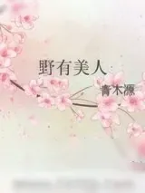 《野有美人》小说封面