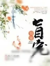 《盲宠》小说封面