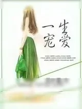 《一生宠爱》小说封面