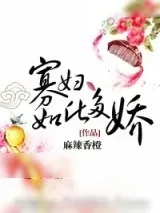 《寡妇如此多娇》小说封面