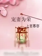 《宠妻为荣》小说封面