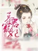 《暴君宠妃无度》小说封面