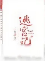 《宠妃逃宫记》小说封面