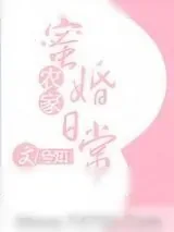 《农家蜜婚日常》小说封面