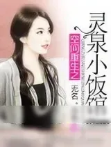 《空间重生之灵泉小饭馆》小说封面
