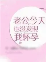 《老公今天也没发现我怀孕》小说封面