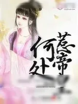 《何处惹帝皇》小说封面